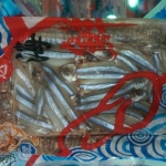 生丁香魚 約300g